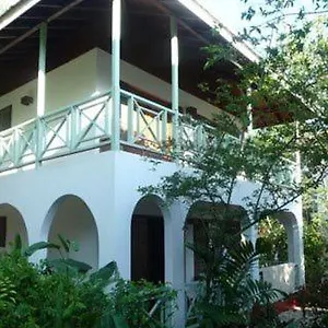 catcha-falling-star-gardens.hotelsnegriljamaica.com/