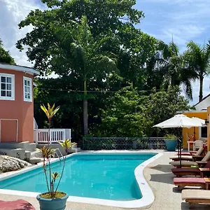 the-blue-orchid-montego-bay.hotelsmontegobay.org/